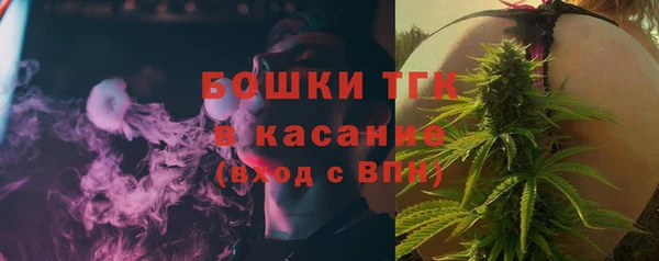 гидра Алексин