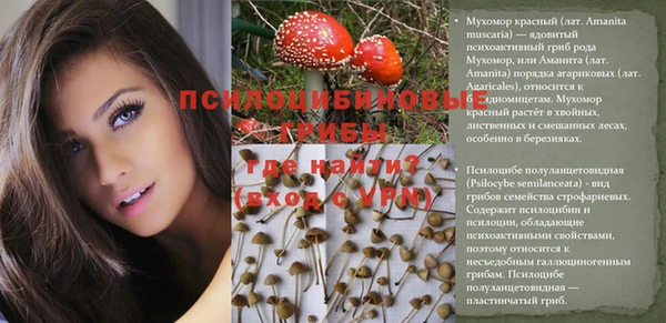 сатива Алексеевка