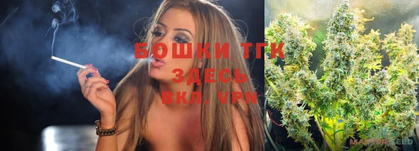 сатива Алексеевка