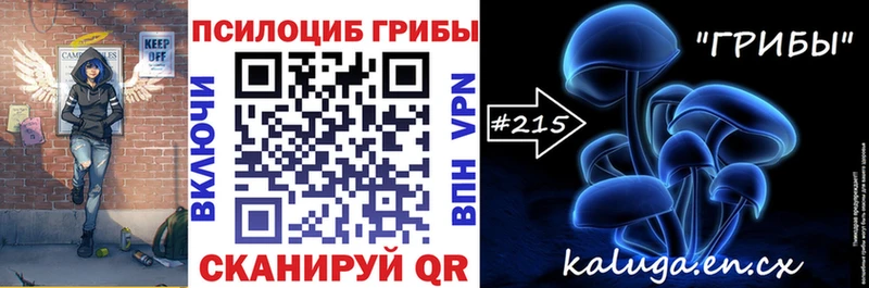 цены наркотик  Гуково  Псилоцибиновые грибы мицелий 